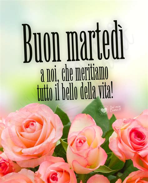 buon giorno buon martedi|immagini di una buona martedì.